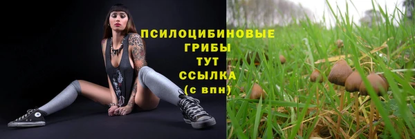 амф Бугульма