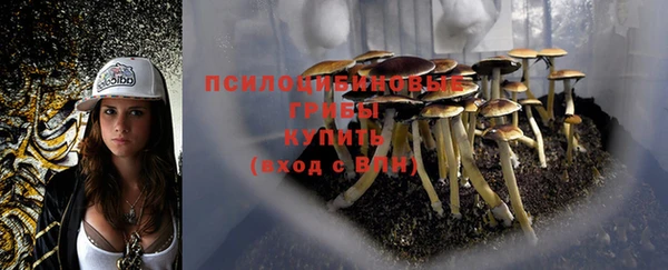 альфа пвп Бородино