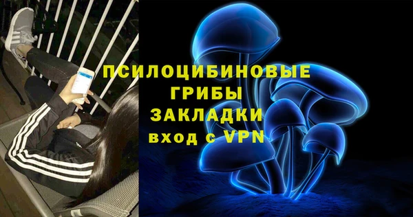 альфа пвп Бородино