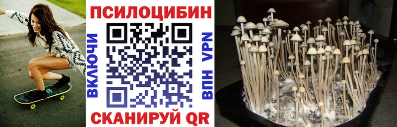 Псилоцибиновые грибы прущие грибы  Заволжск 