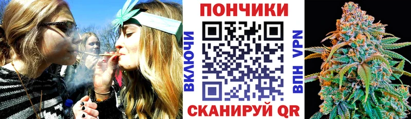 Канабис план где можно купить наркотик Заволжск